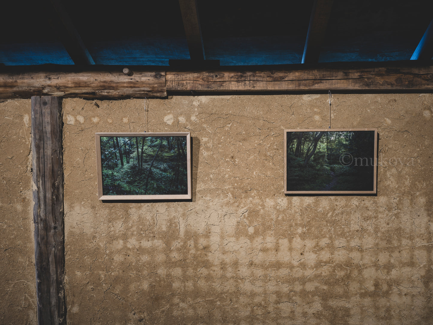 青い時間(笹の景色)