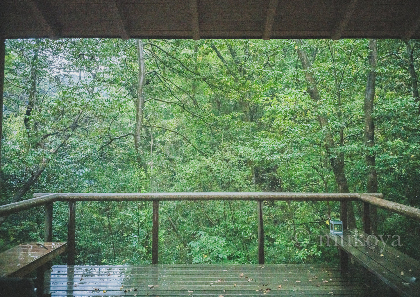 「雨上がりの景色」