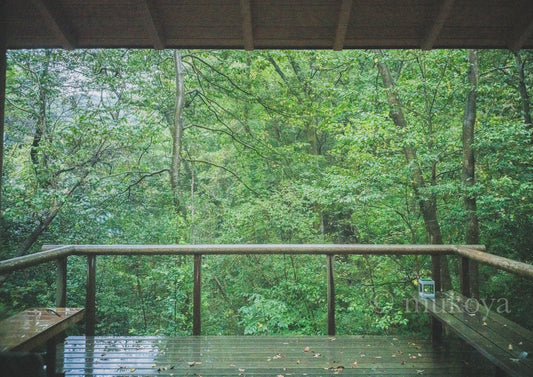 「雨上がりの景色」