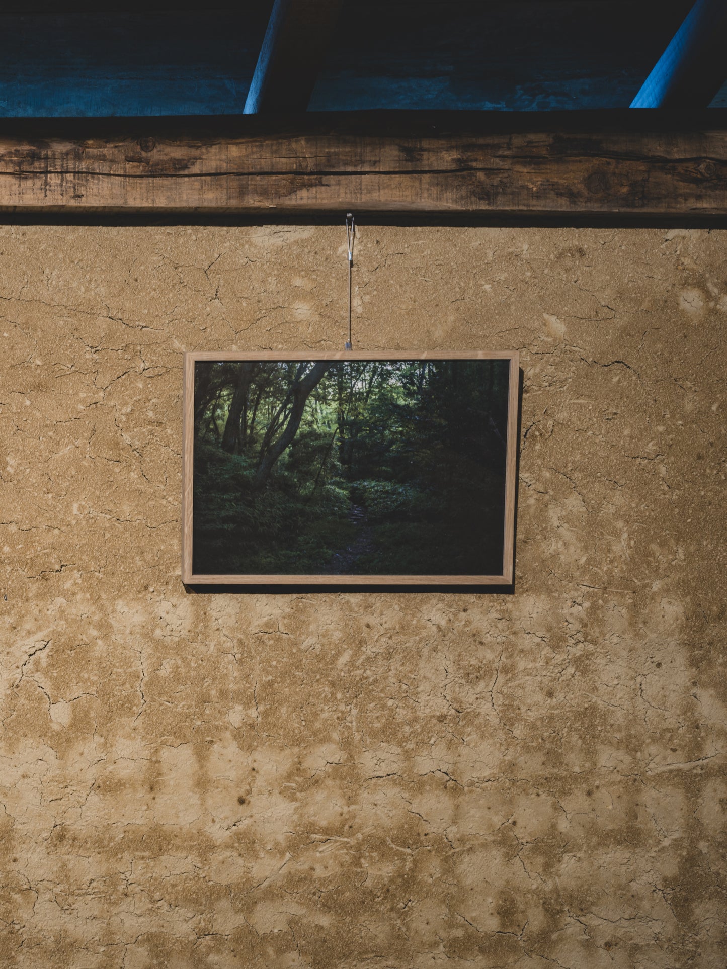 View of bamboo path-001