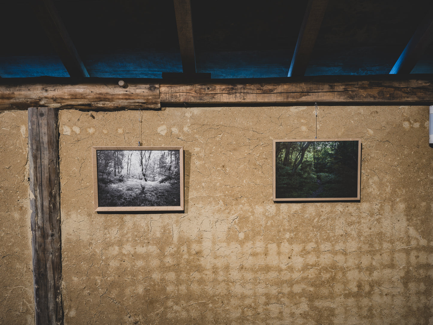 View of bamboo path-001