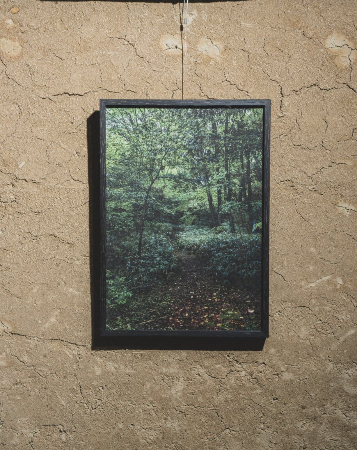 Picture frame OKW-Model