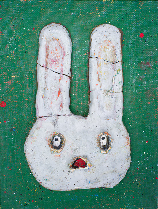 rabbit 001