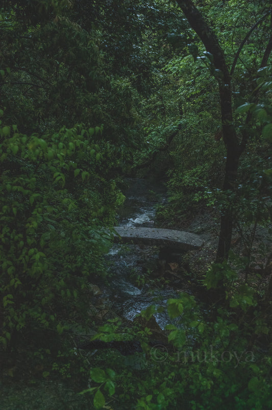 Landscape with stone bridge